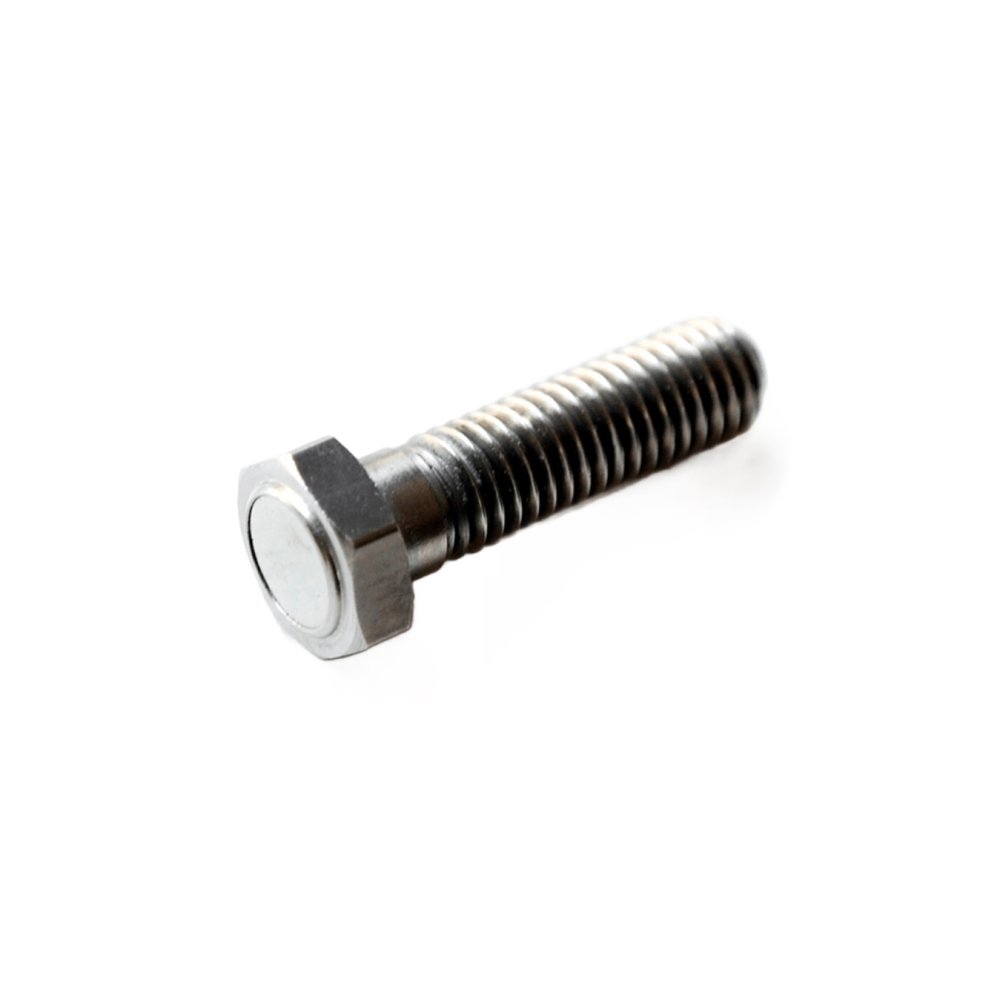 Magnetic screw