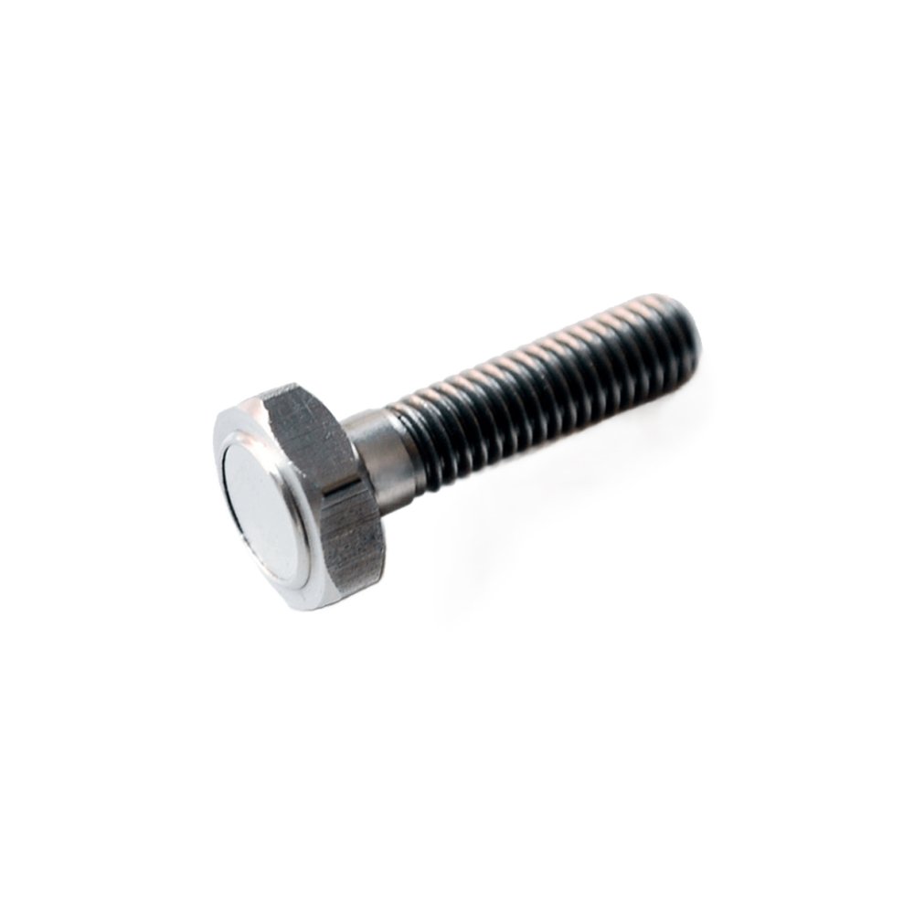Magnetic screw