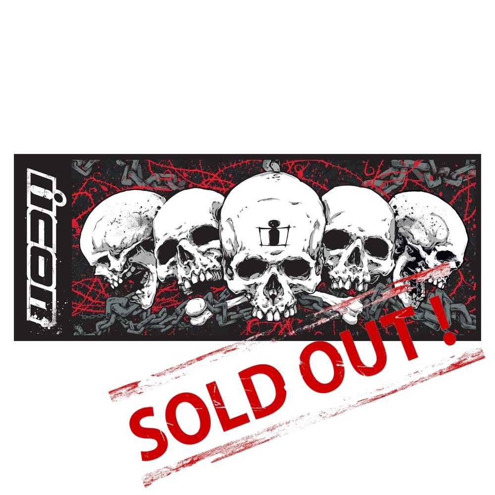 Icon Skull
