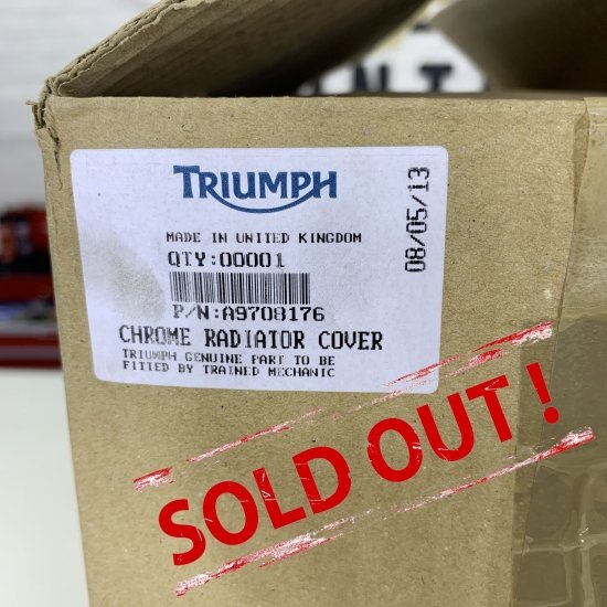 Накладка на радиатор для Triumph Thunderbird 1600