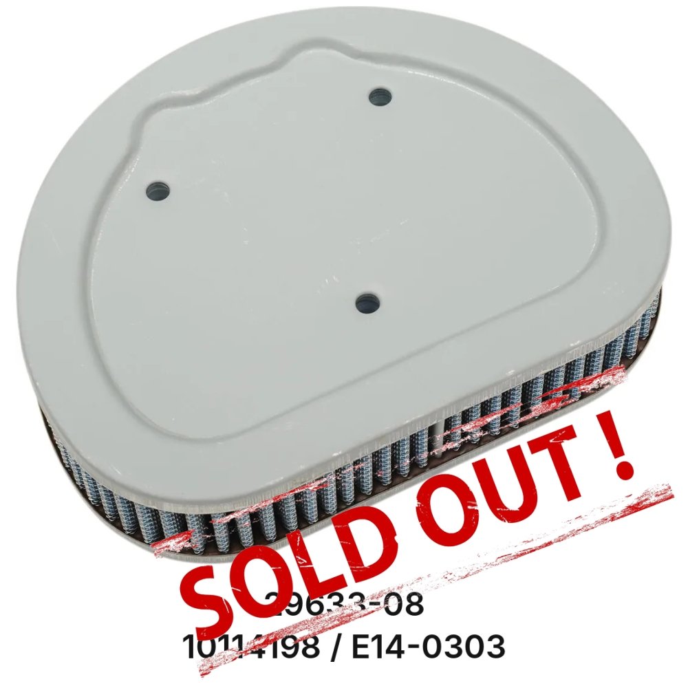 AIR FILTER (PERFORMANCE)