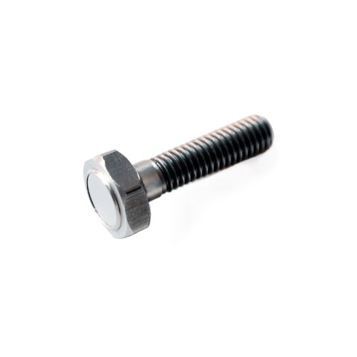 Magnetic screw