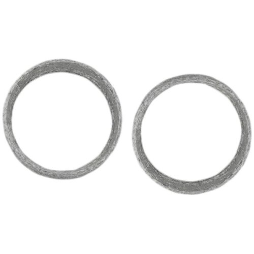 Exhaust Gasket