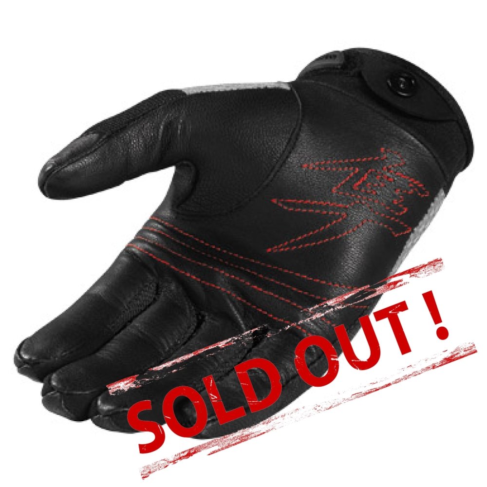 TWENTY-NINER HAYABUSA