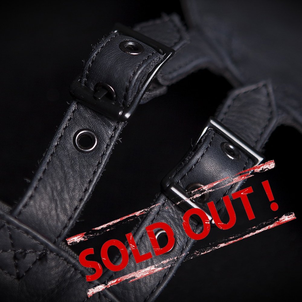 ICON 1000 HELLA CHAPS